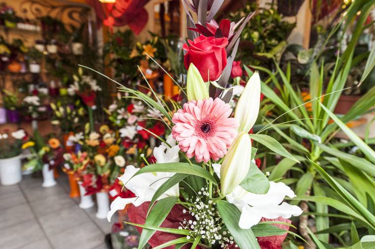 Tavaszi virágok ideje