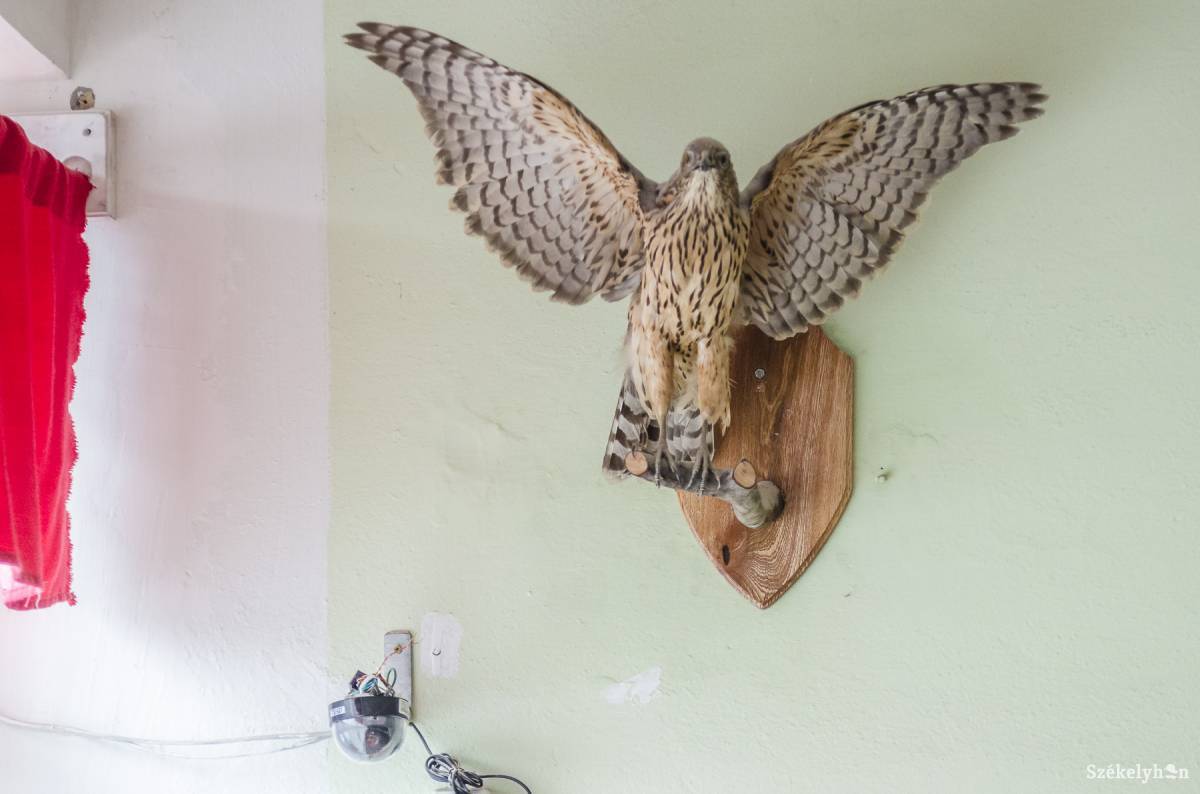 &bullet;  Fotó: Veres Nándor