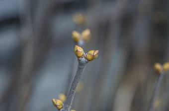 Keddtől lehűlés következik, de így is az ilyenkor megszokottnál melegebb lesz az időjárás