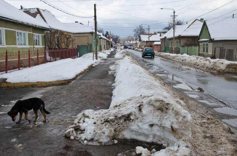 Hálózatépítés húsz utcában