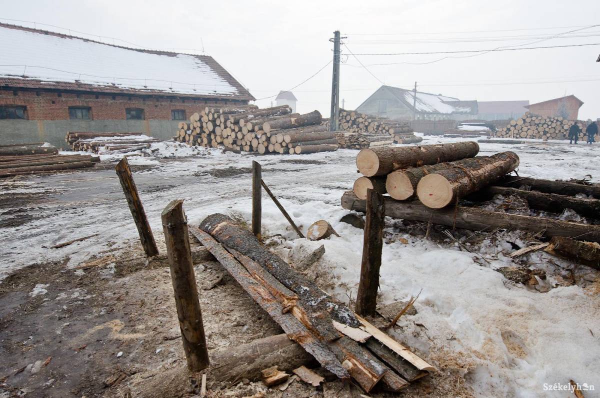 •  Fotó: Kristó Róbert