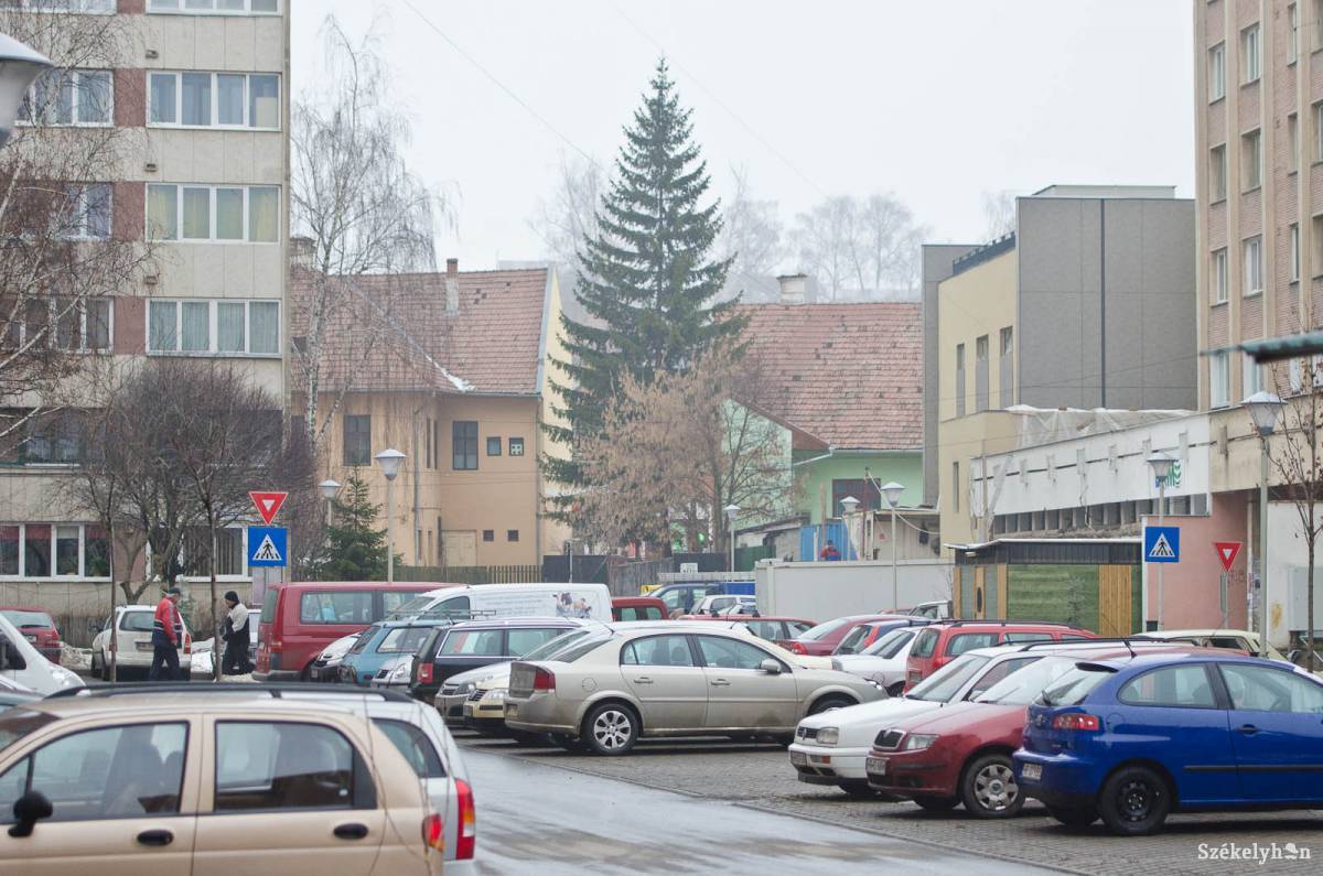 •  Fotó: Kristó Róbert