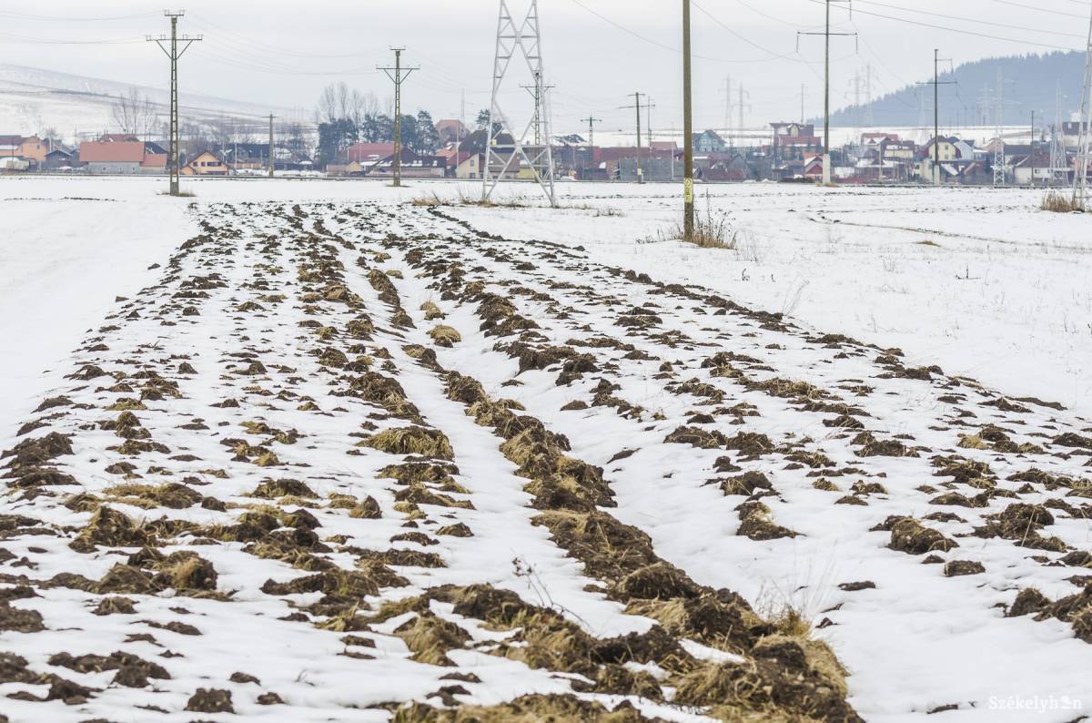 &bullet;  Fotó: Veres Nándor