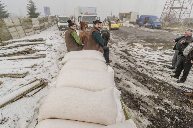 Hiányolt állatvásár