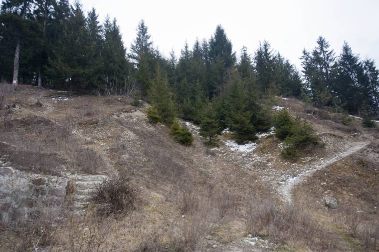 A támogatástól függ a síugrósáncok építése