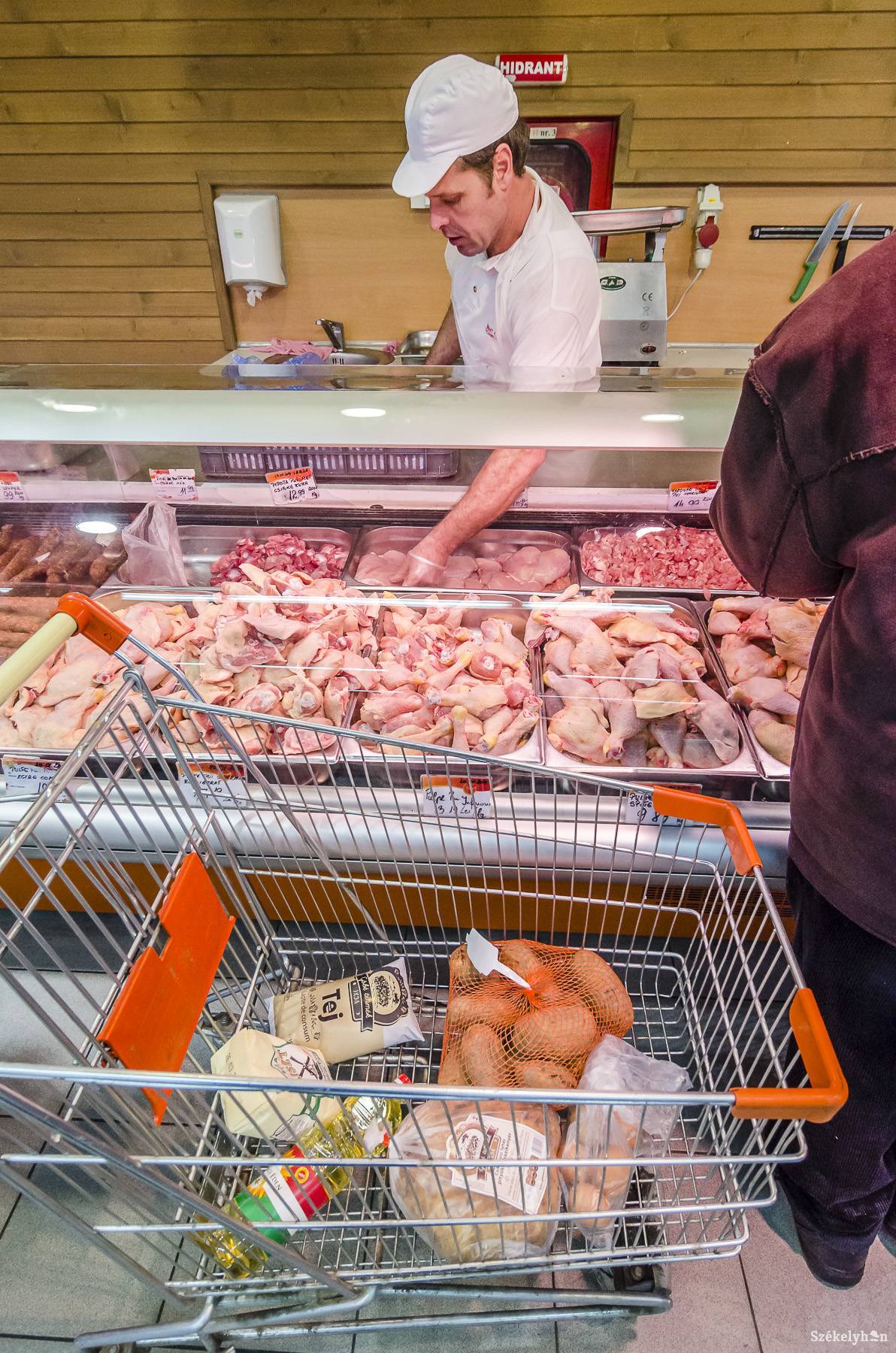 • Fotó: Veres Nándor