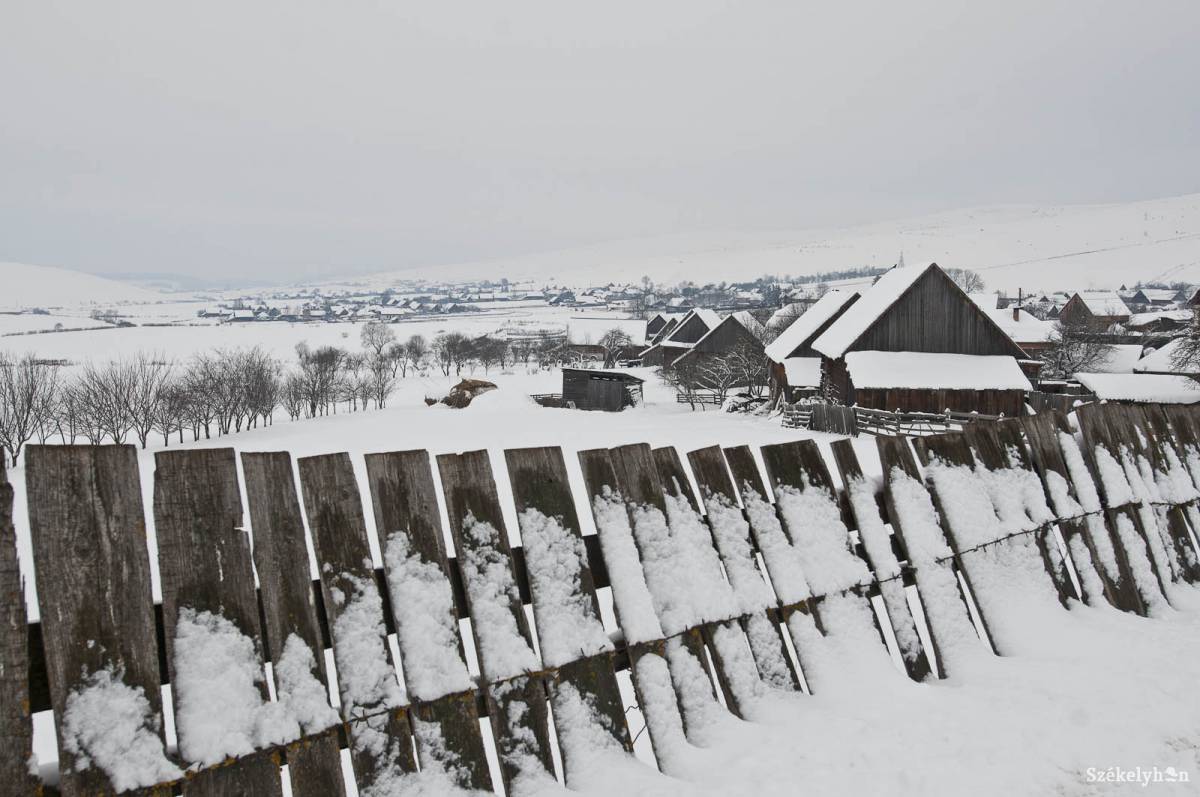 • Fotó: Kristó Róbert