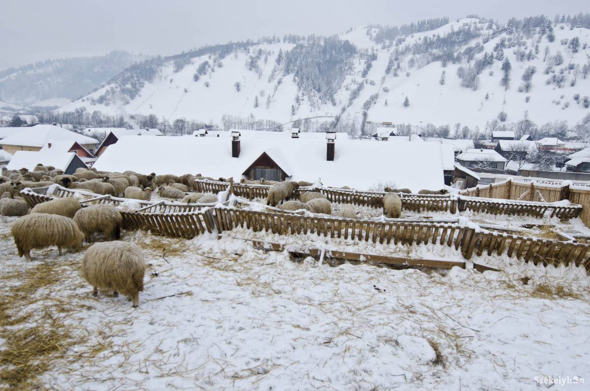 &bullet;  Fotó: Kristó Róbert