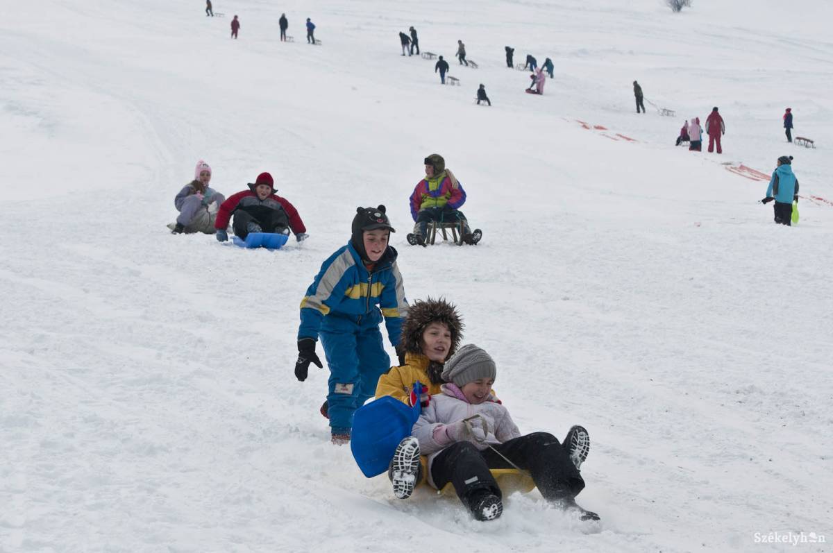 • Fotó: Kristó Róbert