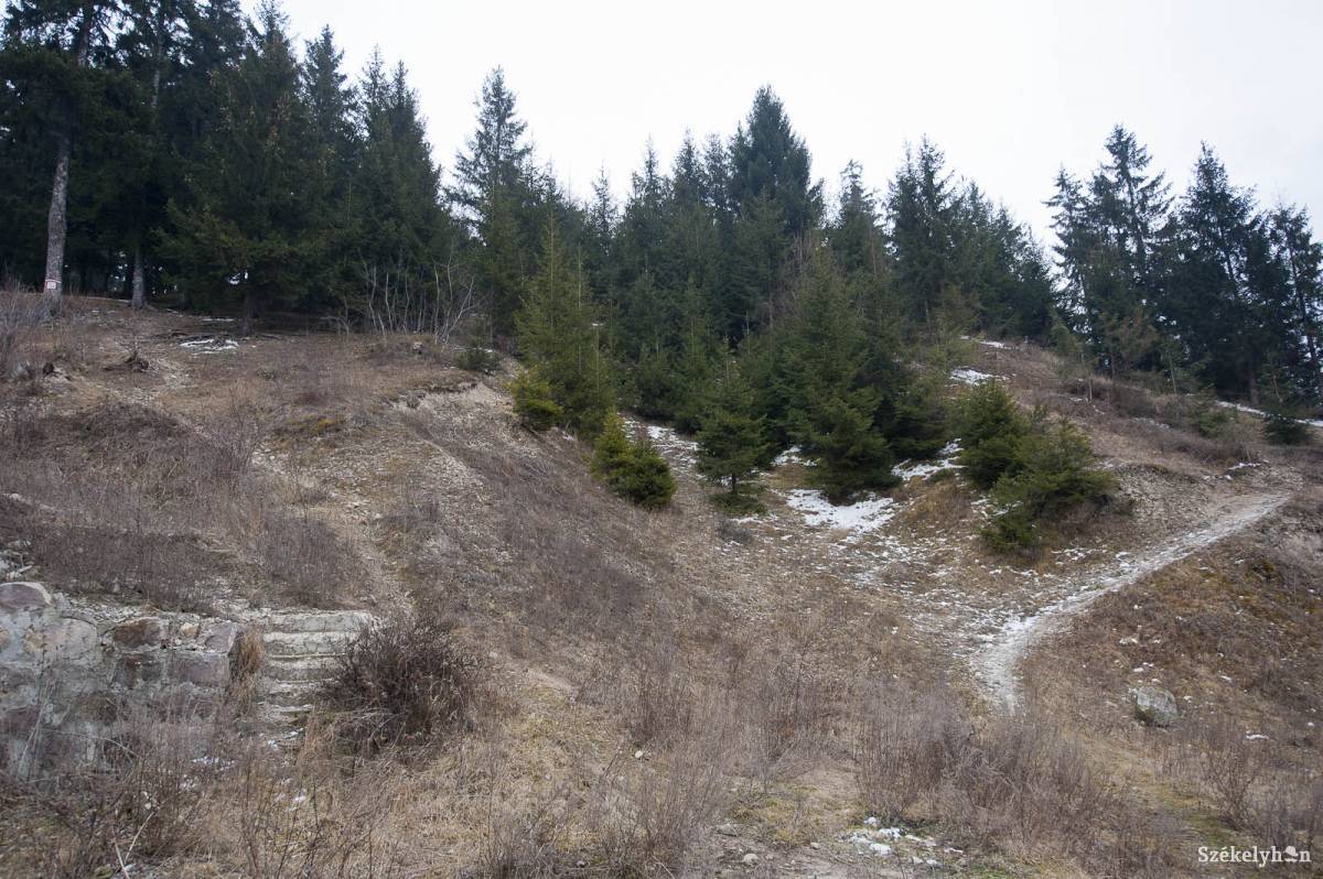 &bullet;  Fotó: Kristó Róbert