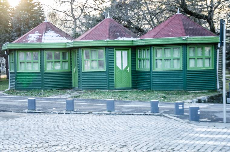 Eladnák a zöld fakuckókat