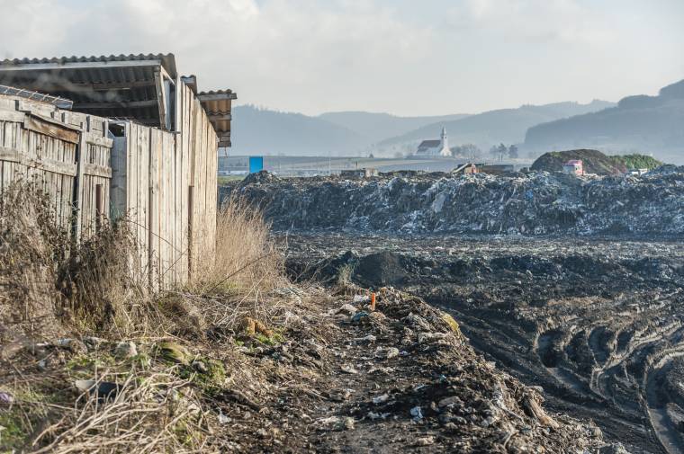 Kitakarítanák a kutyák alól a szemetet