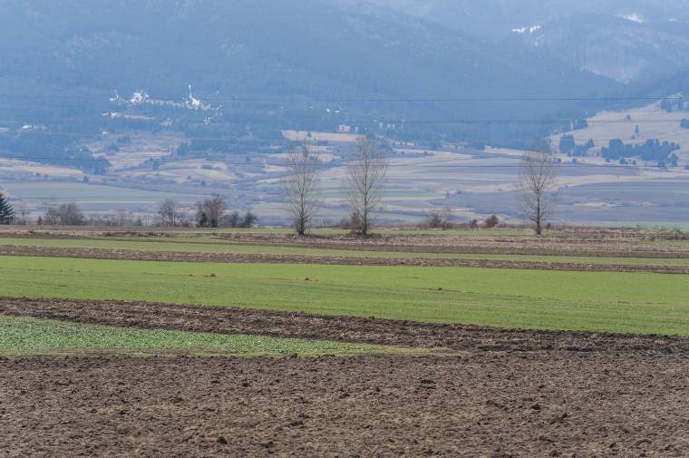 Enyhe tél: a mezőgazdaságban is alkalmazkodni kell az éghajlatváltozáshoz