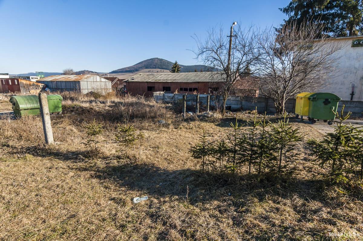 •  Fotó: Veres Nándor