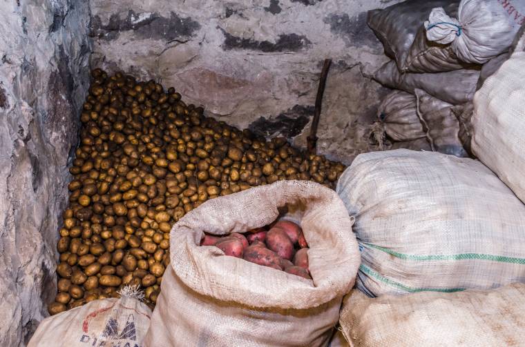 Lesz-e valaha tökéletes? A pityóka mennyisége jó, az ára kevésbé