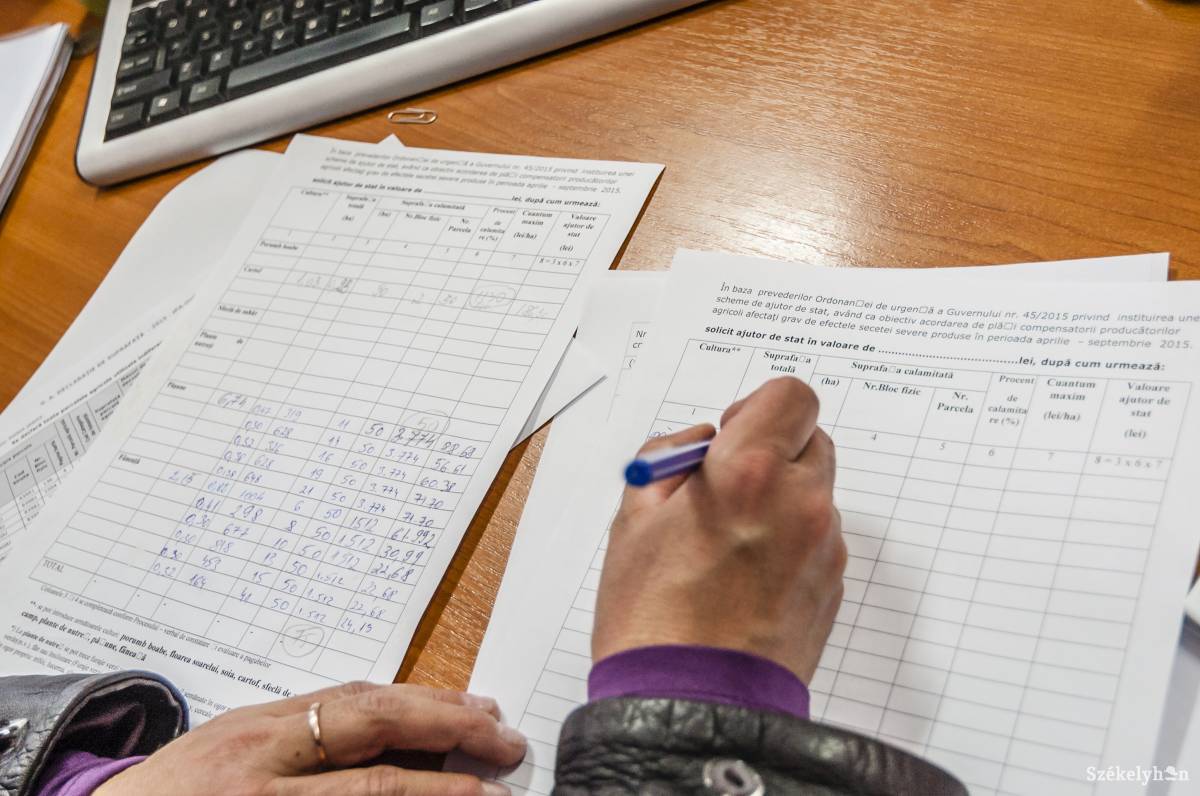 • Fotó: Veres Nándor