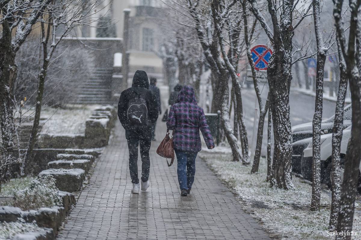 • Fotó: Veres Nándor