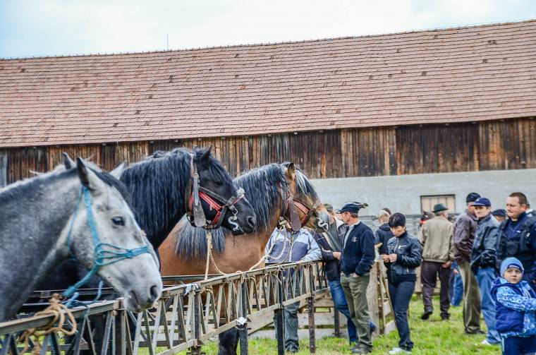 Rendezvény, ahol találkozhatnak a gazdák