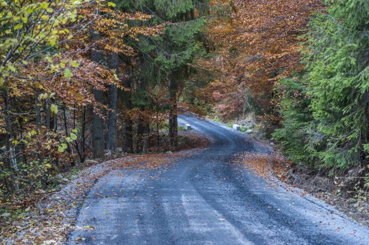 Az erdei utakat is tudni kell használni