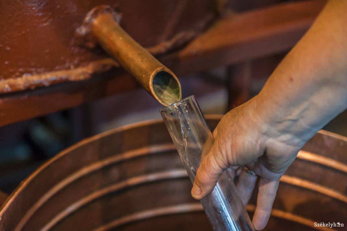 „Alapszabály, hogy amiből nem készítenél lekvárt, pálinkát se főzz” &bullet;  Fotó: Veres Nándor