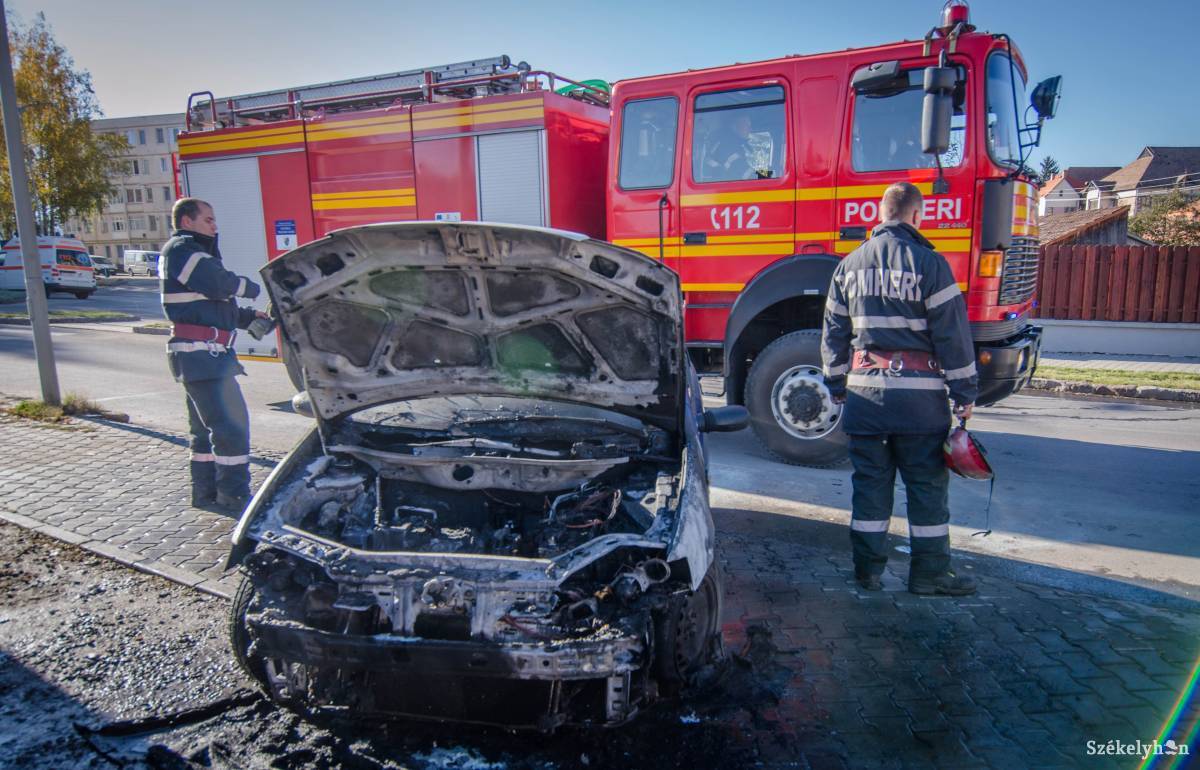 &bullet;  Fotó: Pinti Attila