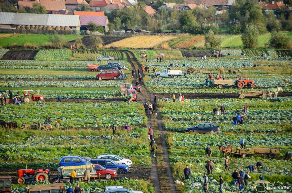 &bullet;  Fotó: Gecse Noémi
