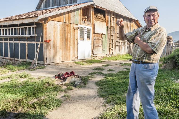 Csíkszeredába tört be a medve