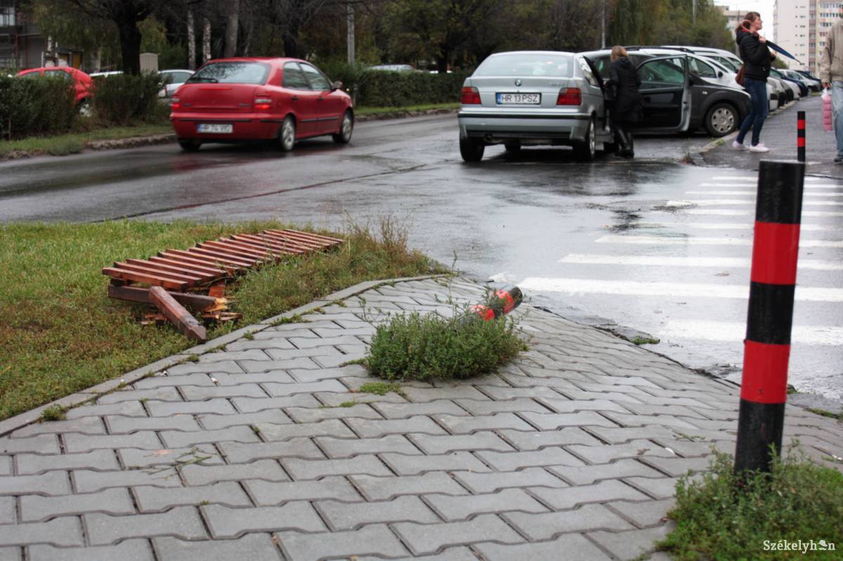 • Fotó: Pinti Attila