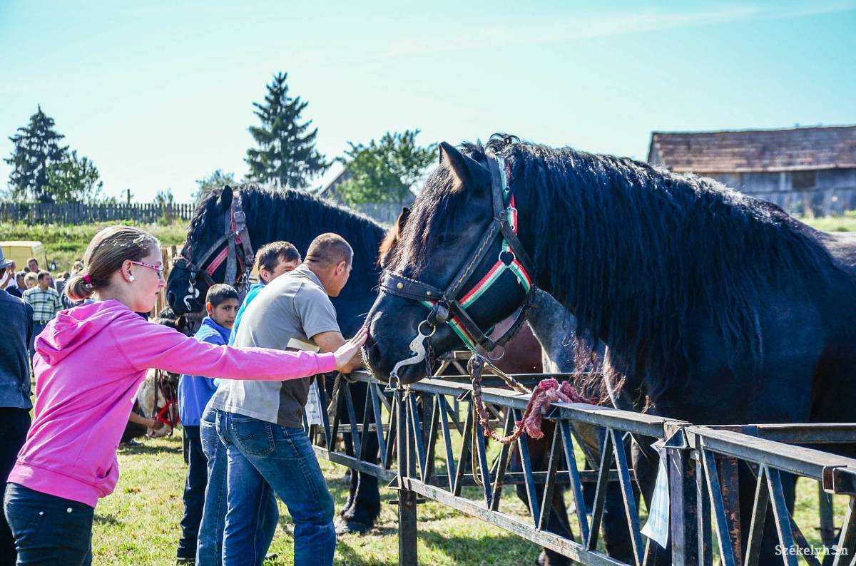 &bullet;  Fotó: Gecse Noémi