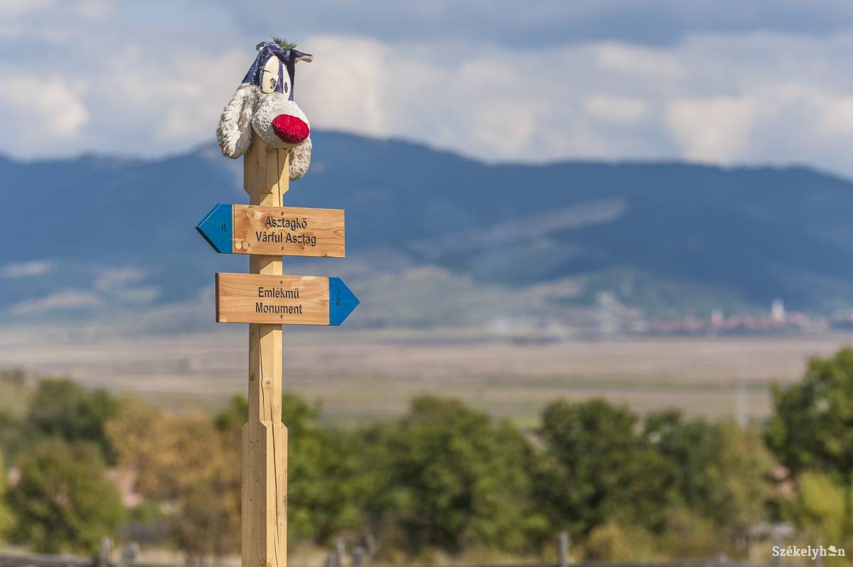 •  Fotó: Veres Nándor