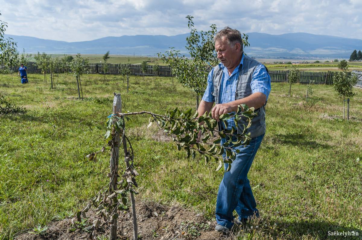 • Fotó: Veres Nándor
