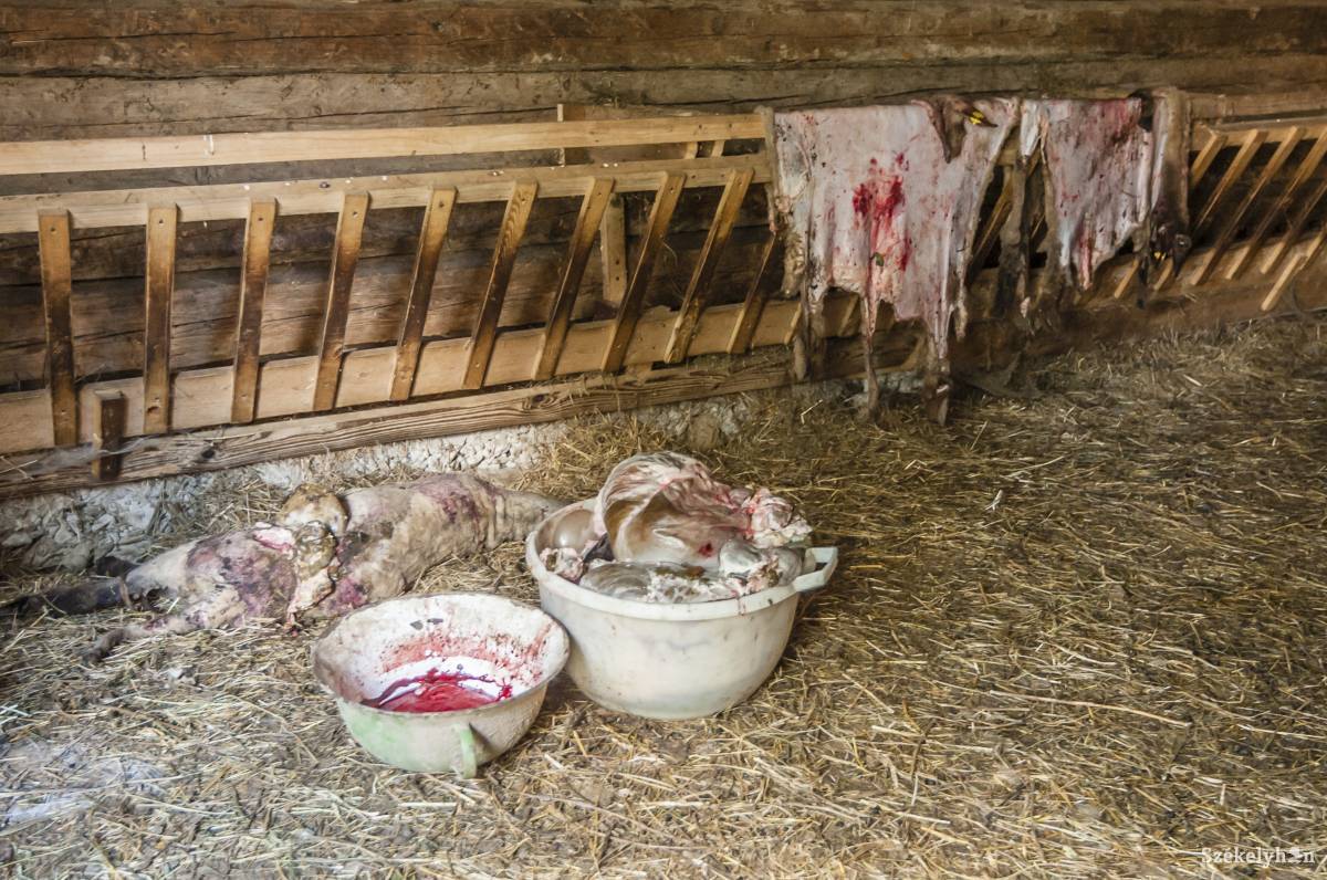 &bullet;  Fotó: Veres Nándor