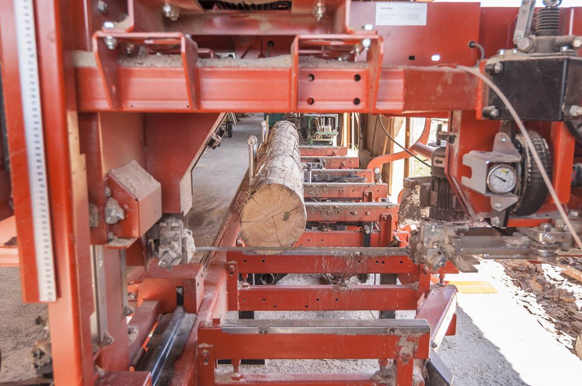 • Fotó: Veres Nándor