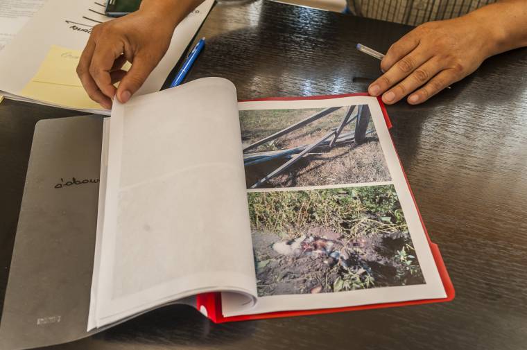 Zajlik a medvevadászat