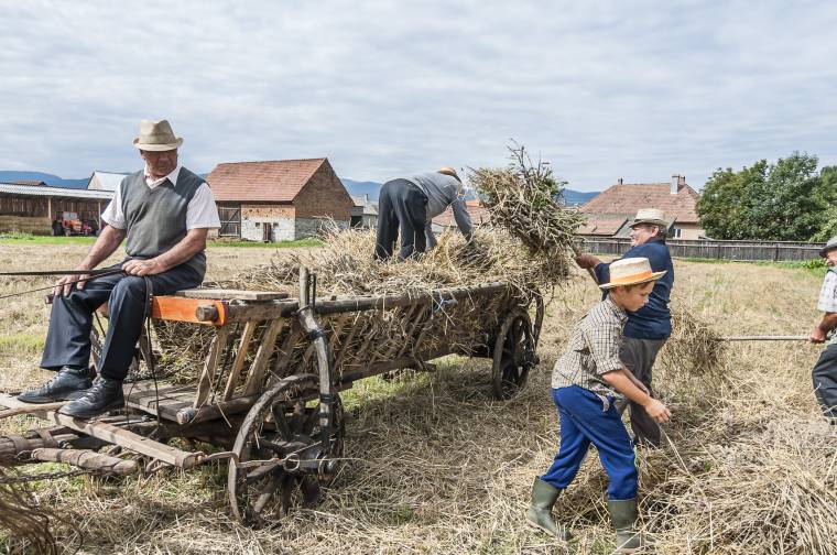 Cséplőkalákán a szentimrei nyugdíjasok