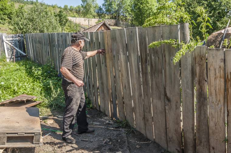 Nem sikerült kilőni a kutyákat elpusztító medvét