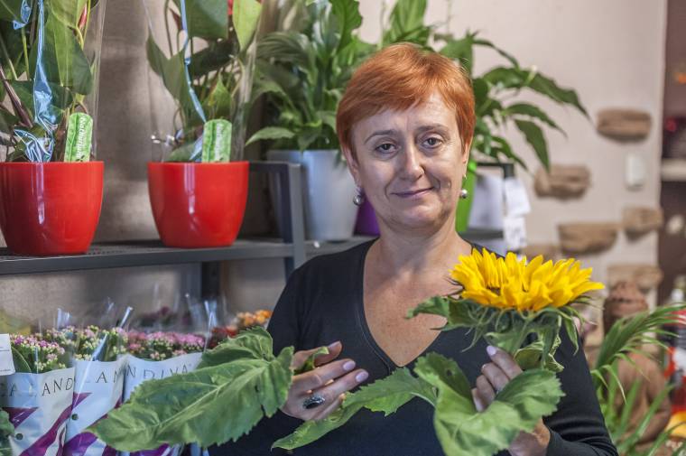 Szürreális virágos világ