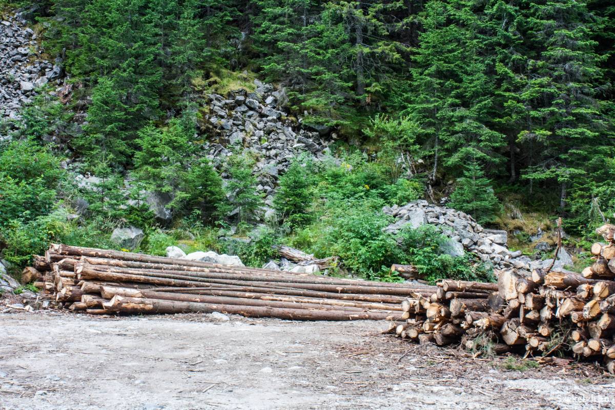 &bullet;  Fotó: Tamás Attila