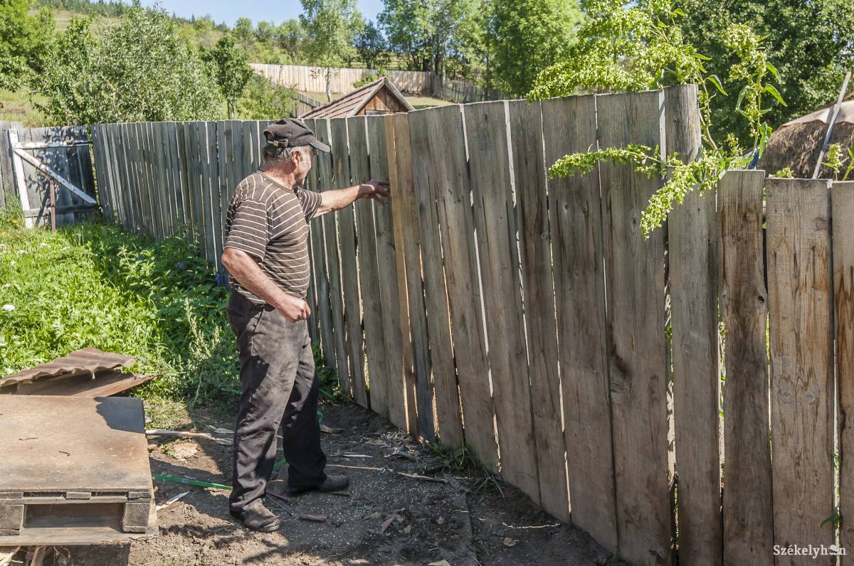 • Fotó: Veres Nándor