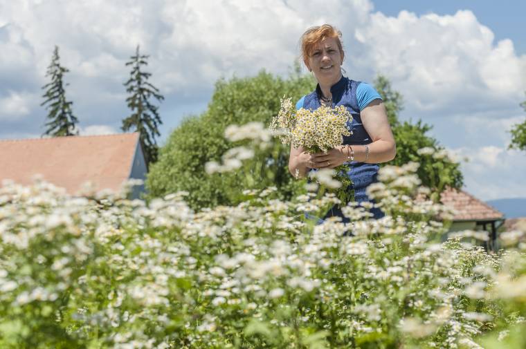 Mária-kert Csíksomlyón a belső békéért