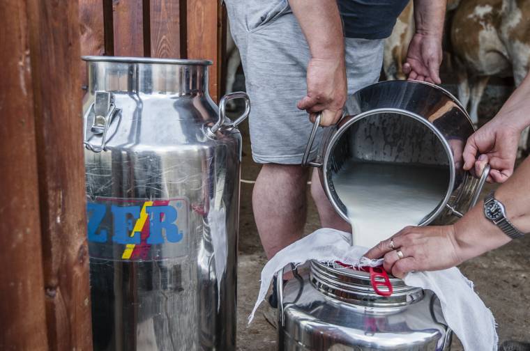 A vártnál is jobban tejel a szarvasmarhatartók számára a támogatási program