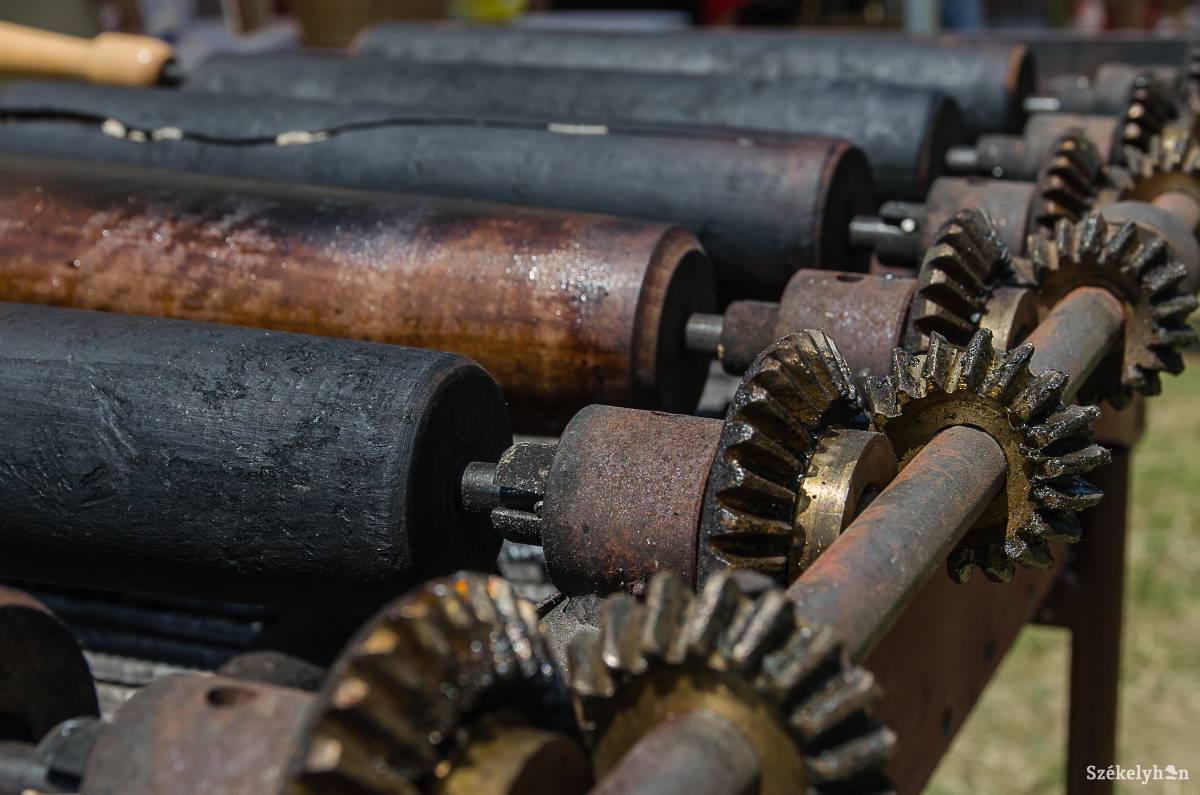 •  Fotó: Szigeti Vajk István