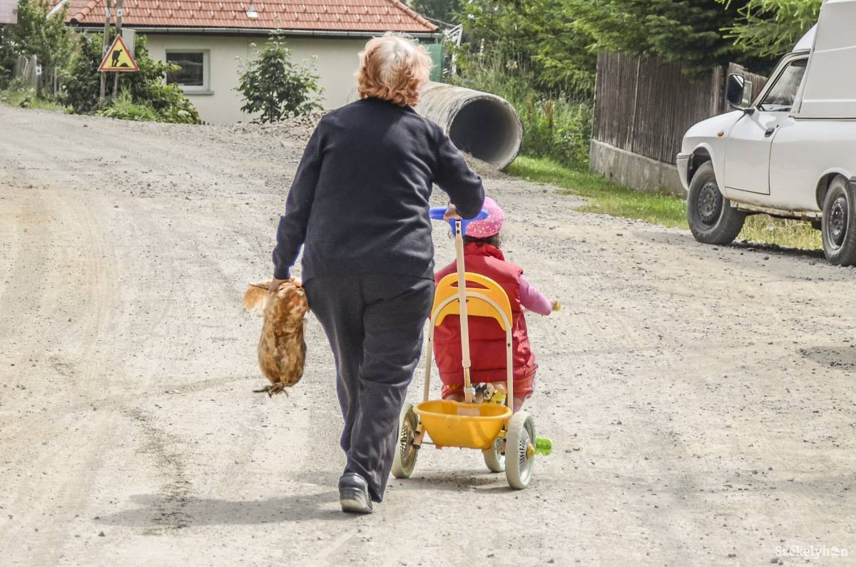 • Fotó: Gecse Noémi