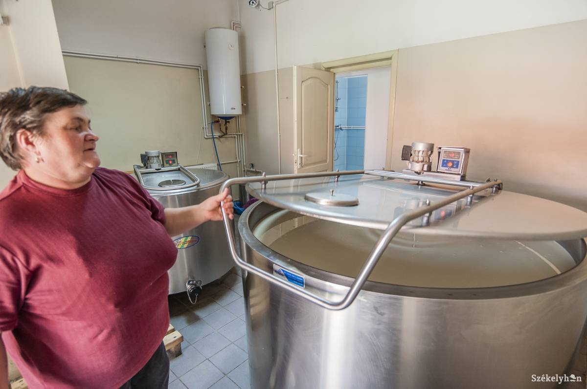 &bullet;  Fotó: Veres Nándor