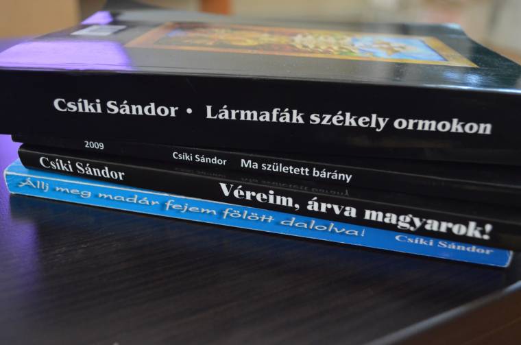 Csíki Sándor lármafái