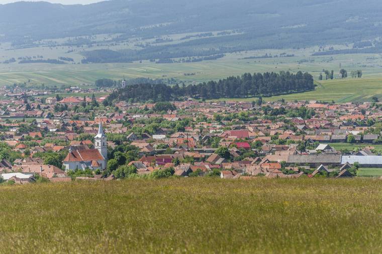 Polgármesterek, akikkel bármikor kapcsolatba lehet lépni