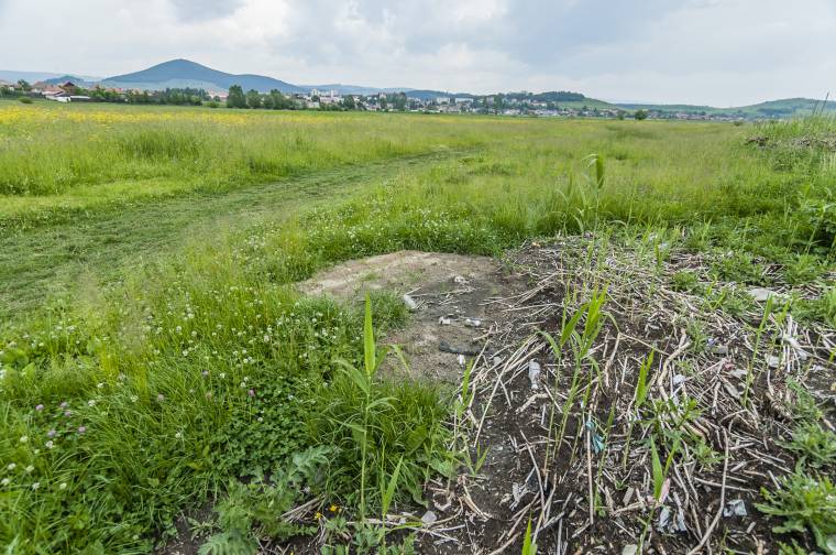Kaszálón közlekednek az autók
