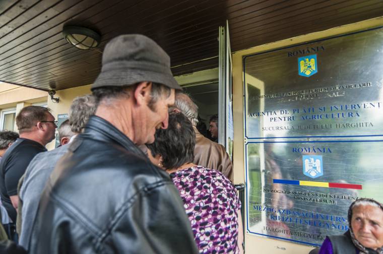 Támogatás kell, nem importhús