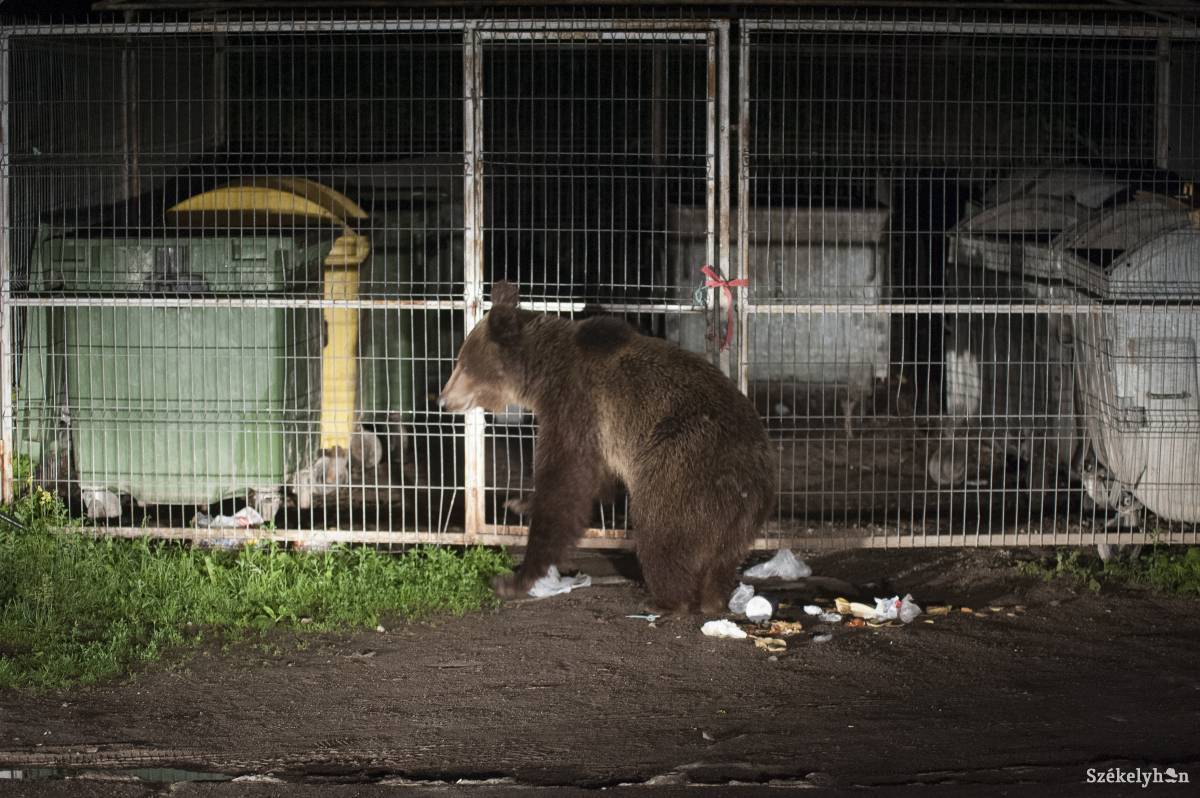 &bullet;  Fotó: Veres Nándor