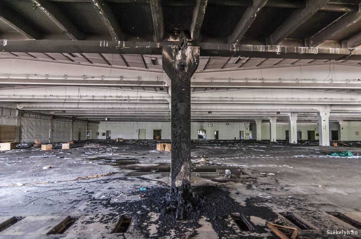 • Fotó: Veres Nándor